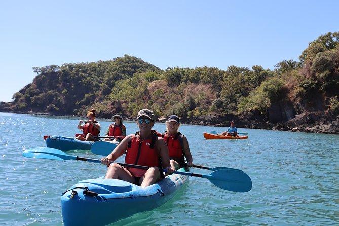 Kayak Turtle Tour From Palm Cove - Tour Overview and Features