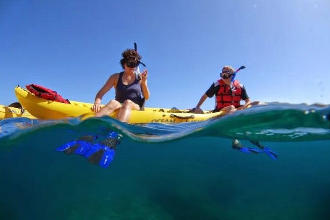 Kayak, Whale Watch and Snorkel - Good To Know