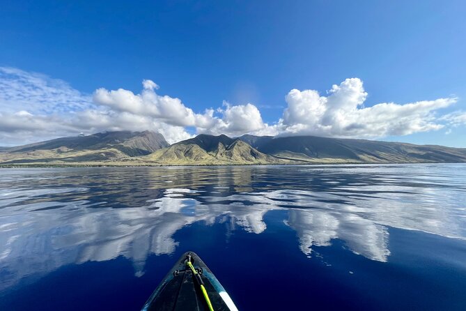 Kayak, Whale Watch, and Snorkel @ Turtle Town With Optional Photo - Cancellation Policy