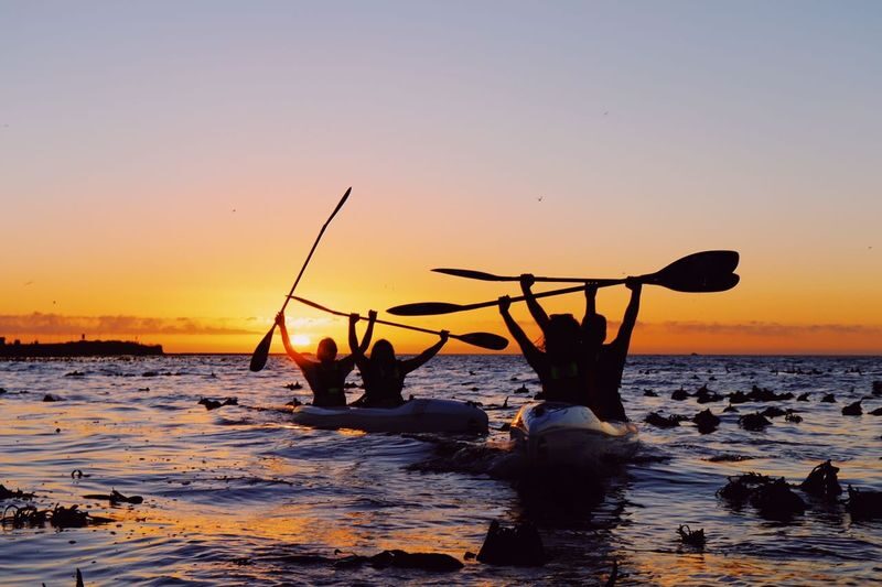 Kayak with Dolphins Experience in Cape Town - Safety, equipment, and comfort on the water