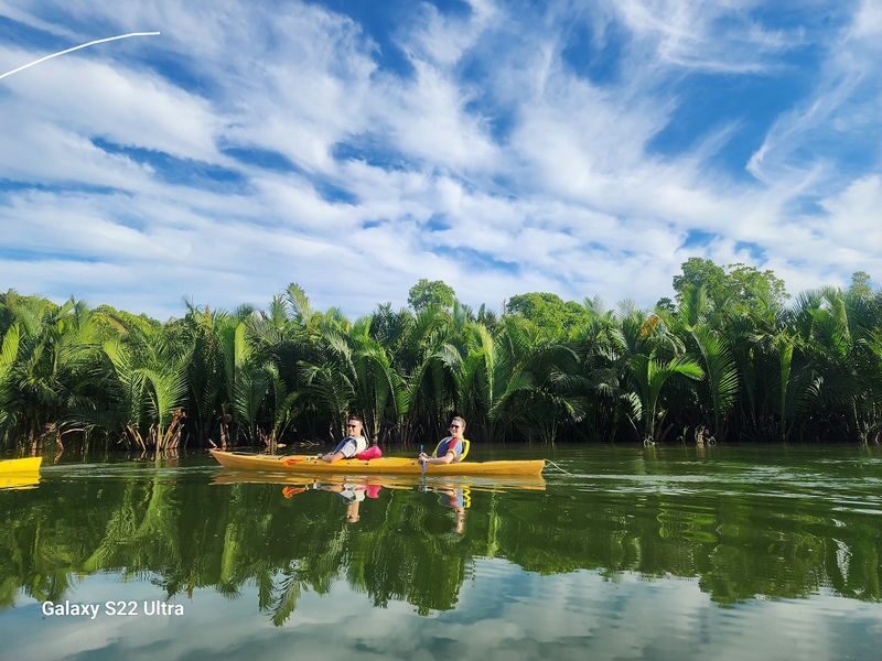 Kayaking Adventure from Old Town to the Mangrove Forest - From Hoi An’s golden houses to the river