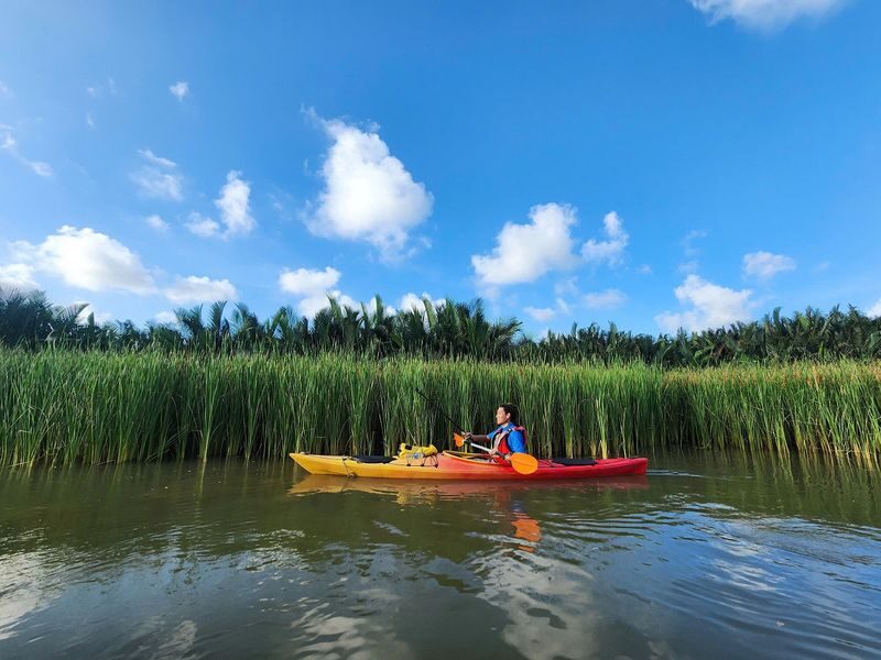 Kayaking Adventure from Old Town to the Mangrove Forest - What the forest visit adds