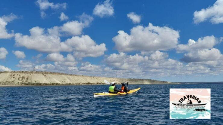 Kayaking Adventure in Puerto Madryn - Activity Details