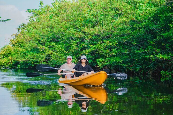 Kayaking Adventure on serene waters through mangroves, Akurala - Why This Experience Stands Out