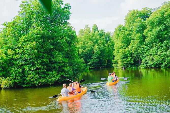 Kayaking Adventure on serene waters through mangroves, Akurala - Who Should Consider This Tour?