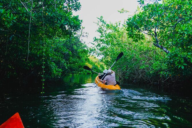 Kayaking Adventure on serene waters through mangroves, Akurala - Exploring the Serene Waters of Akurala: A Kayaking Tour Review