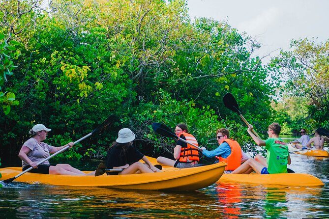 Kayaking Adventure on serene waters through mangroves, Akurala - Final Thoughts: Is It Worth It?