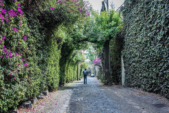 Kayaking adventure through the Xochimilco and Frida Kahlo Canals - Exploring the Canals of Xochimilco: A Floating Garden Escape  