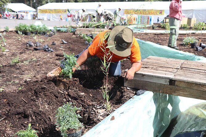Kayaking adventure through the Xochimilco and Frida Kahlo Canals - Practical Details and Tips for the Experience  