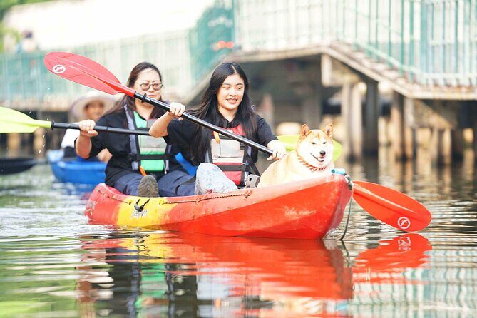 Kayaking and Electric Longtail Boat in Bangkok - The Value Proposition: What Makes This Tour Stand Out?