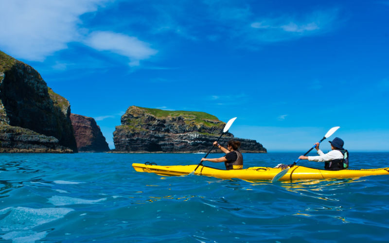 Kayaking and Safari Tour in Akaroa - A coastal route into Pohatu Marine Reserve