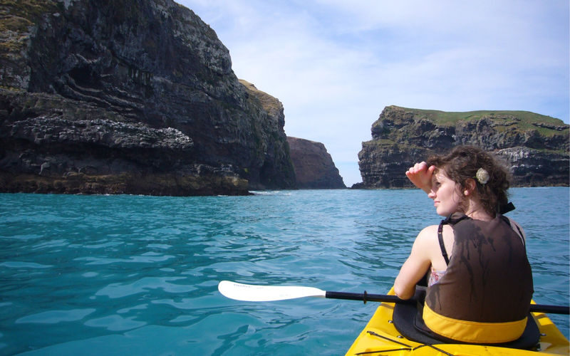 Kayaking and Safari Tour in Akaroa - Wildlife sightings, with no guarantees