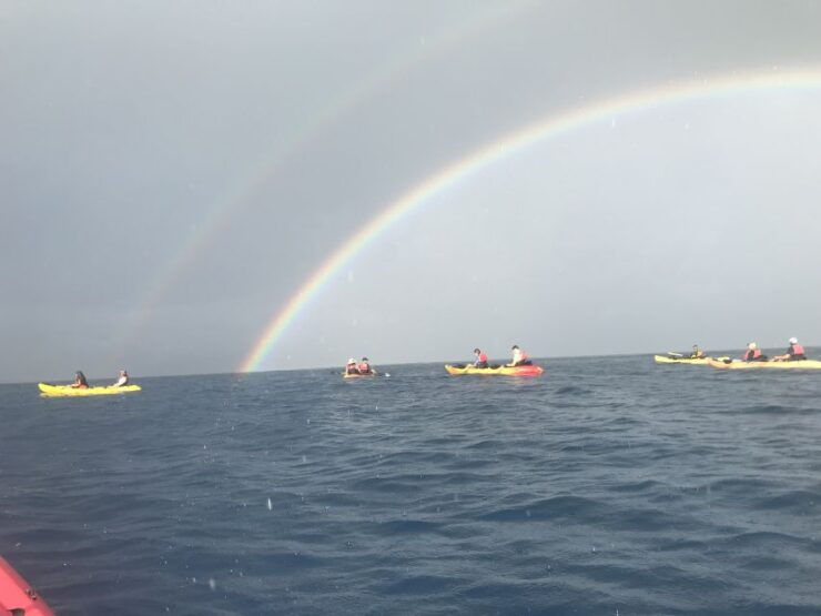 Kayaking and Snorkeling at Turtle Reef - Booking and Logistics