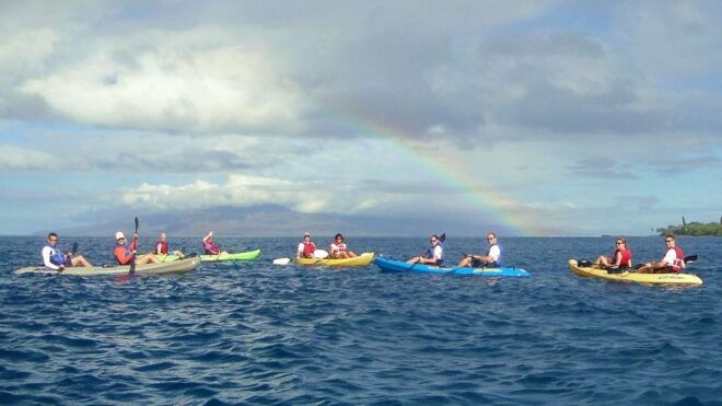 Kayaking and Snorkeling at Turtle Reef - Full Description