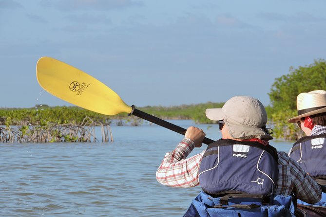 Kayaking and Snorkeling Experience Through Sian Kaan Biosphere Reserve - Sunset and Wildlife Experience