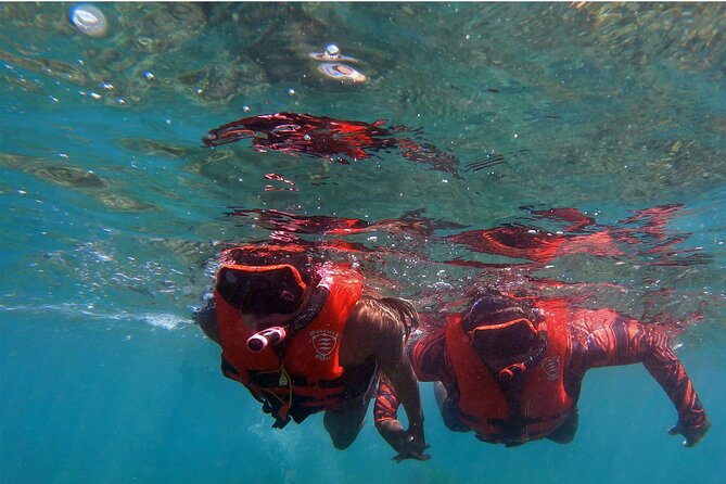 Kayaking and Snorkeling - Olowalu - What To Expect