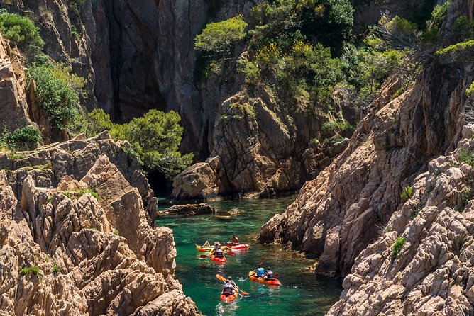 Kayaking and Snorkeling on La Costa Brava Small Group - Positive Reviews and Trip Highlights