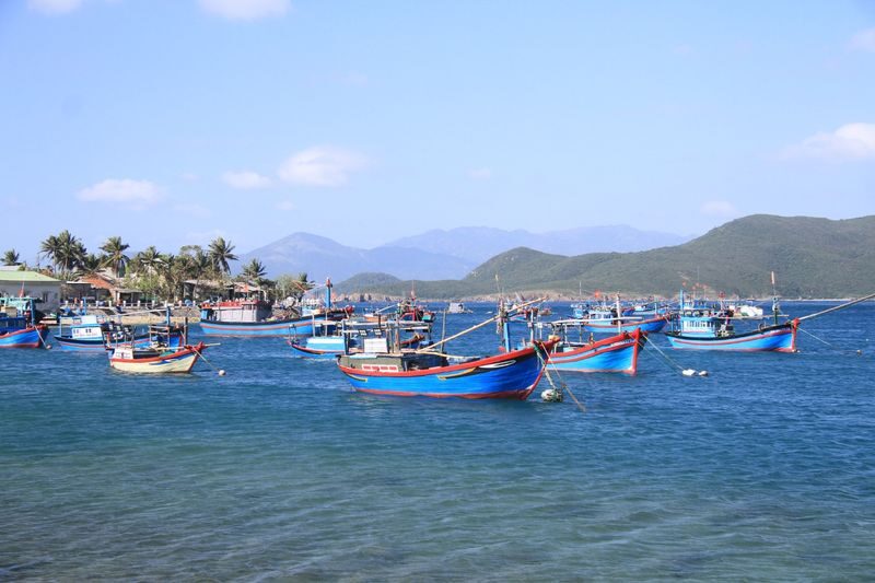 Kayaking and Snorkeling Tour at Dam Bay Island - Should you book?
