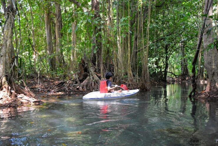 Kayaking and Swiming Klongrood - Tour Details