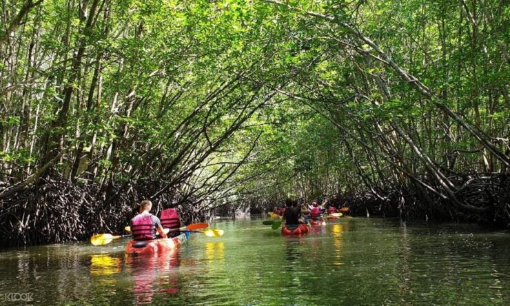 Kayaking Ao Thalane Krabi and ATV Extreme - Options Available