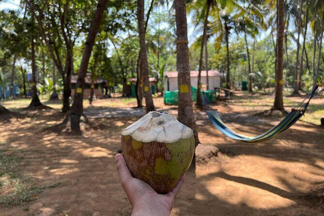 Kayaking At Private Island In Goa - Discovering the Itinerary: What to Expect