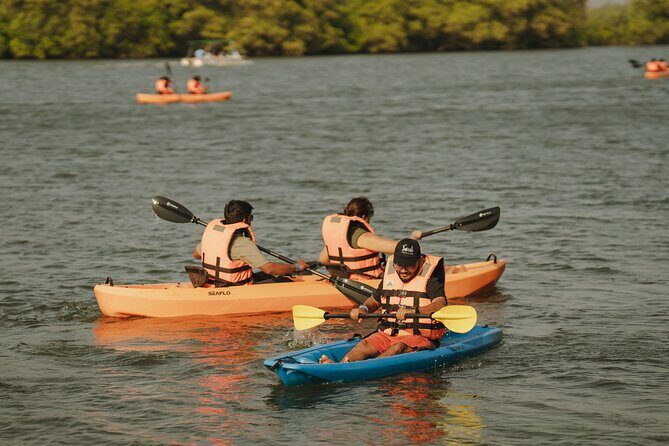 Kayaking At Private Island In Goa - FAQ