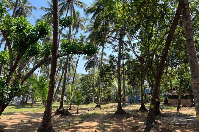Kayaking At Private Island In Goa - Who Will Love This Tour?