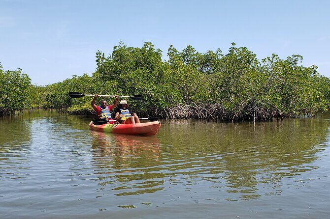 Kayaking Backwaters of New Smyrna Beach Ecotour/Birdwatching - Good To Know