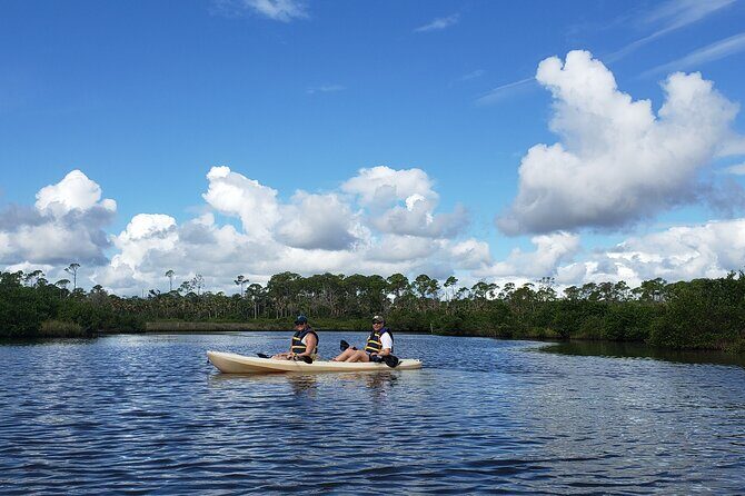 Kayaking Backwaters of New Smyrna Beach Ecotour/Birdwatching - Final Thoughts