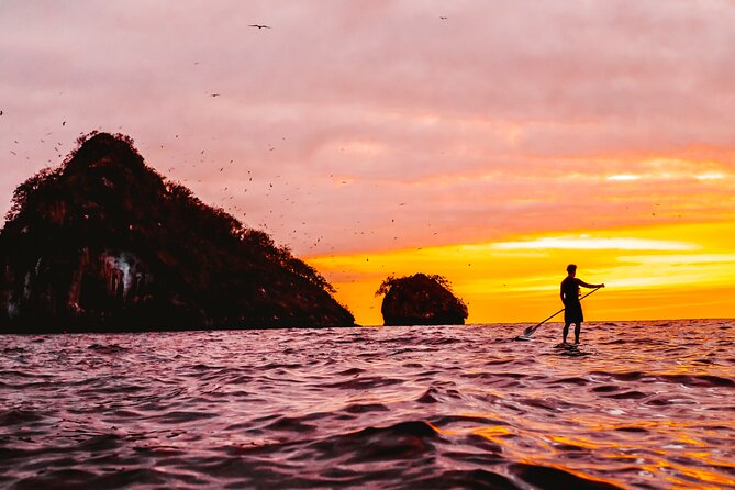 Kayaking Bioluminescence Experience - Booking and Accessibility Details
