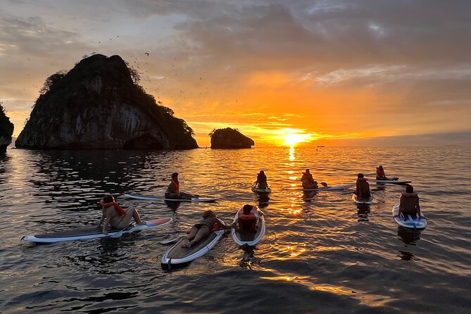 Kayaking Bioluminescence Experience - Additional Information and Contact