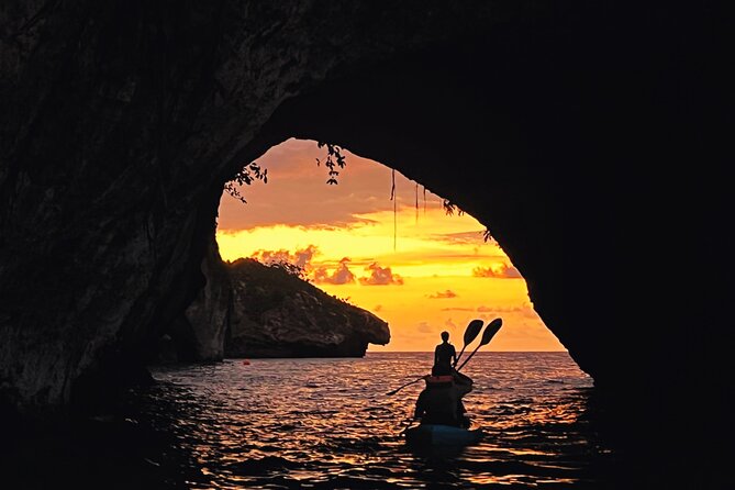 Kayaking Bioluminescence Experience - The Sum Up