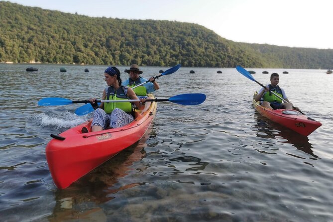 Kayaking Experience in Lim Bay Sea in The Croatian Fjord - Flora, Fauna, and Wildlife Encounters
