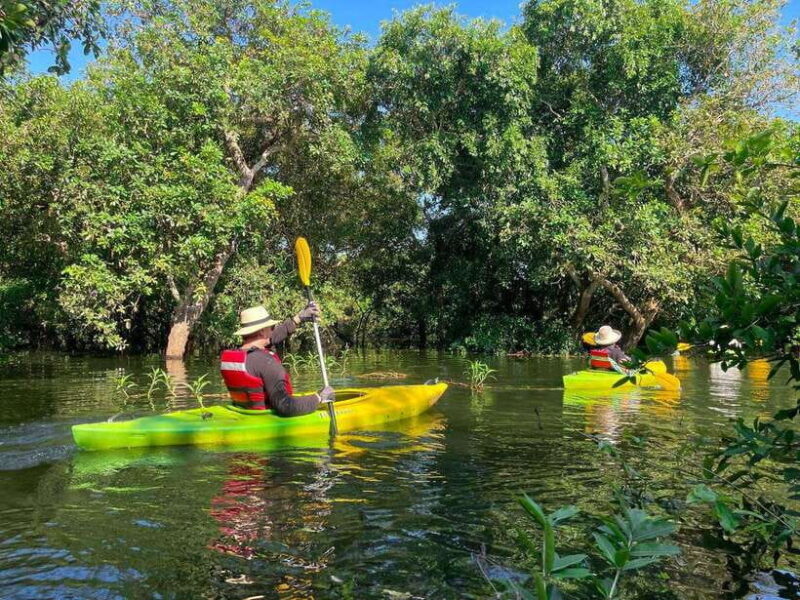 Kayaking & Floating Village in Siem Reap - Good To Know