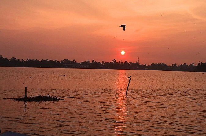Kayaking from Bolgoda Lake - Guide and Experience Quality