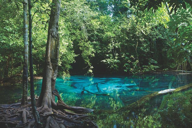 Kayaking in Ao Thalane - Discover the Mangrove Life - Traveler Reviews