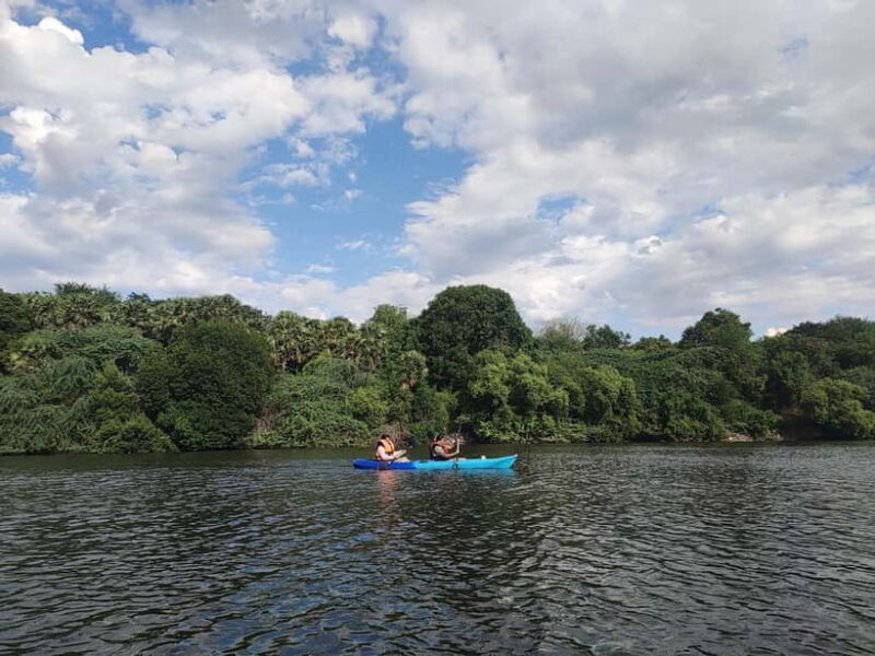 Kayaking in Backwaters of Pondicherry - The Experience in Detail