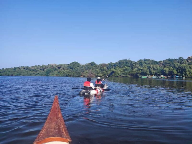 Kayaking in Backwaters of Pondicherry - Why This Tour Is a Great Fit