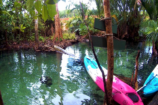 Kayaking in Hidden Freshwater Lagoon, Unseen Krabi Trip - Hidden Freshwater Lagoon Experience