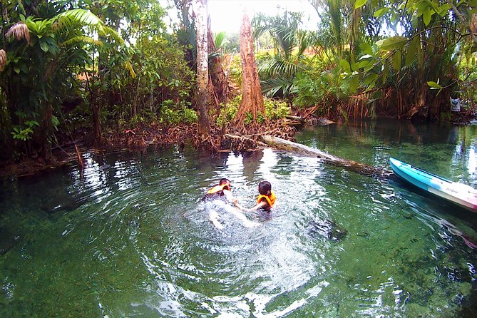 Kayaking in Hidden Freshwater Lagoon, Unseen Krabi Trip - Natural Beauty and Surroundings