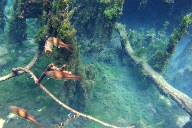 Kayaking in Hidden Freshwater Lagoon, Unseen Krabi Trip - Contact and Booking Information