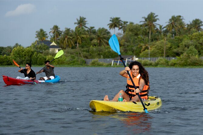Kayaking in Kochi Guided Backwater and Mangrove Experience - Who Will Enjoy This Tour?