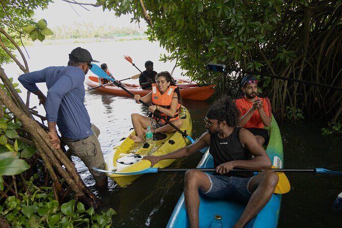 Kayaking in Kochi Guided Backwater and Mangrove Experience - FAQ
