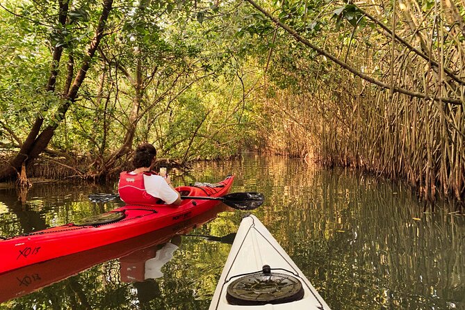 Kayaking in Mangrove Forest of Paravur Backwaters Near Varkala and Kollam - Location Details