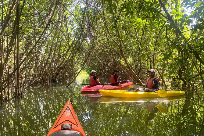Kayaking in Mangrove Forest of Paravur Backwaters Near Varkala and Kollam - Booking and Cancellation Policy