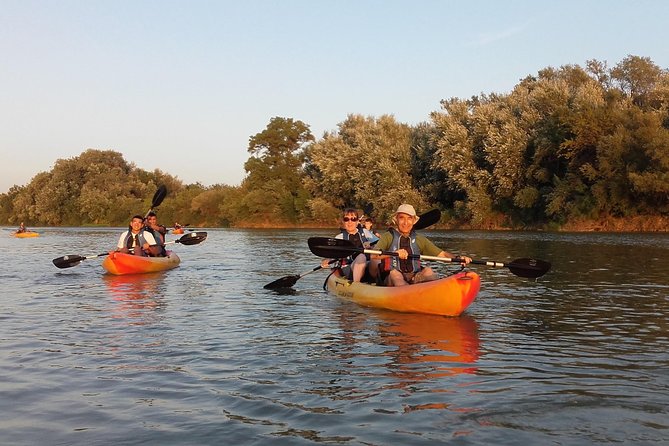 Kayaking in Zaragoza: Fluvial Ecotourism With Ebronautas - What To Expect