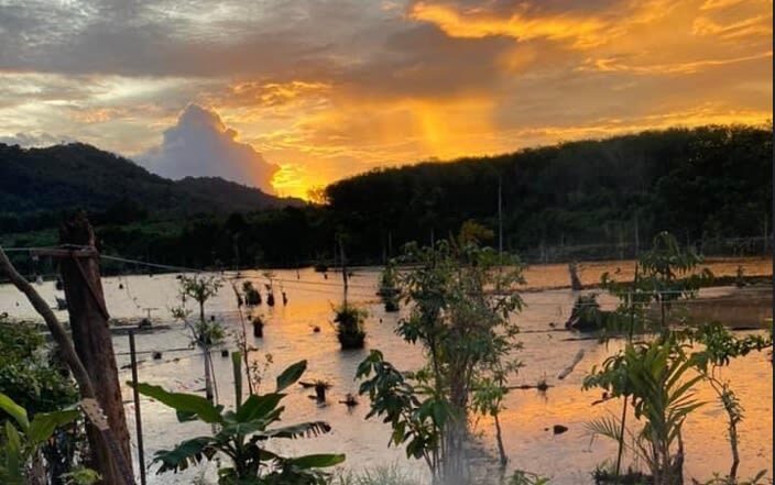 Kayaking Klong Root Viewpoint, Fish Feeding, ATV Ride - Klong Root is worth coming for