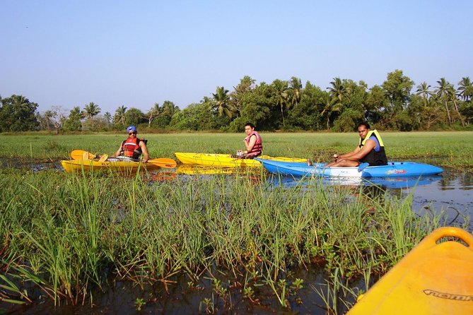 Kayaking on Sal Backwaters - Goa - Pricing and Booking Details