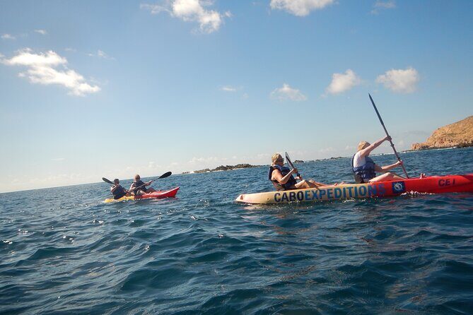 Kayaking & Snorkeling in the Spectacular Waters of Los Cabos - Authentic Insights from Reviews