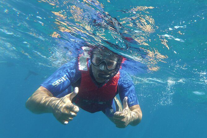 Kayaking Snorkeling With Turtles - Miscellaneous
